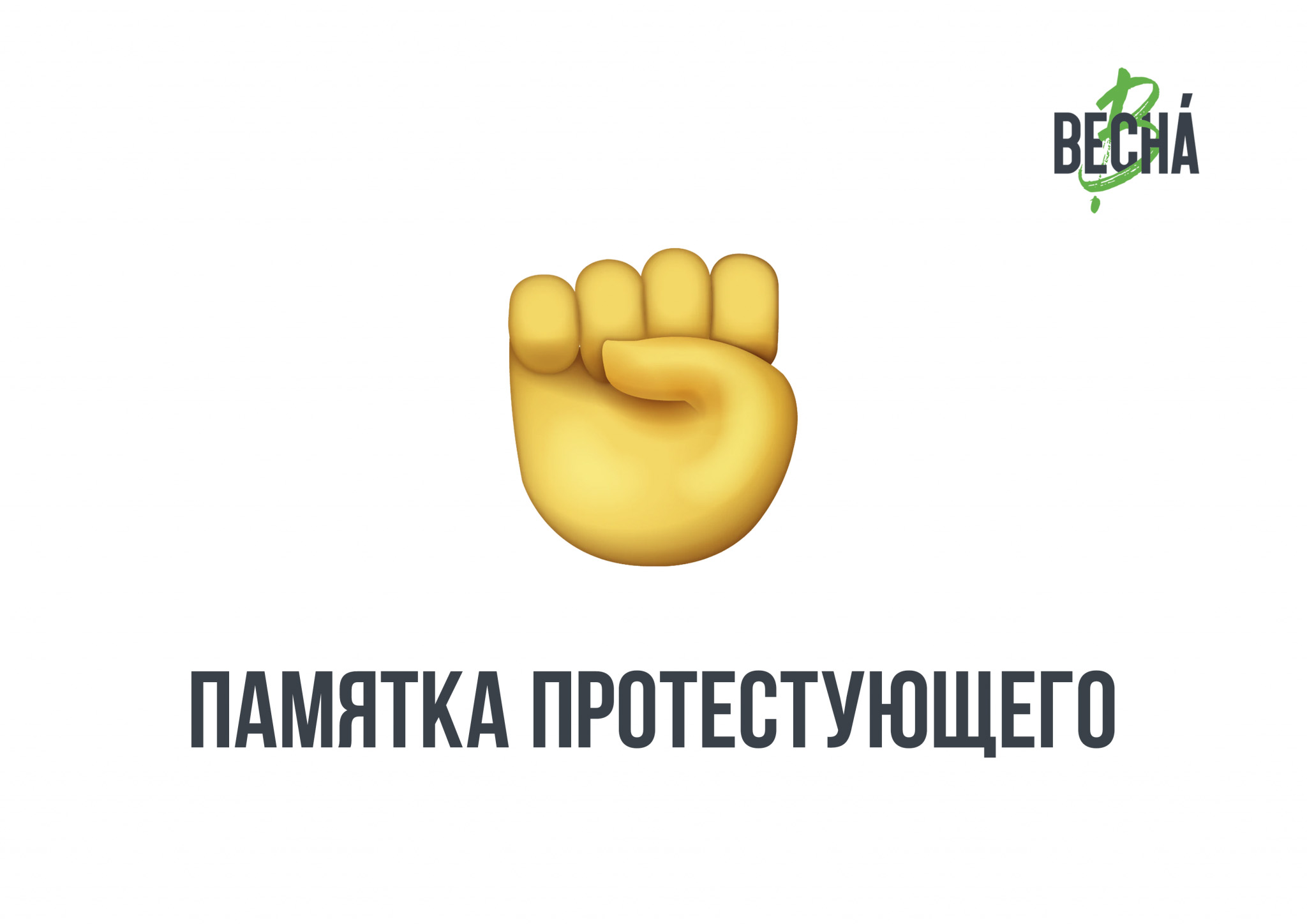 Памятка протестующего